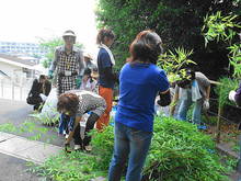 DSC01027.JPG