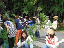 DSC01031.JPG