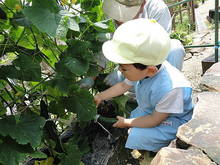 DSC04122.JPG
