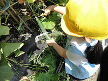 DSC04140.JPG