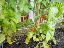 DSC04234.JPG