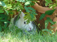 DSC00488.JPG