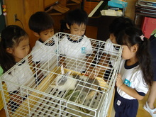 DSC00792.JPG
