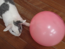 DSC04582.JPG