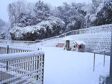 DSC05965.JPG
