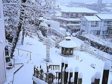 DSC05966.JPG