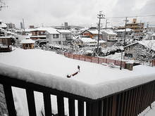 DSC05970.JPG
