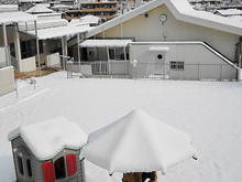 DSC05994.JPG