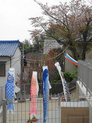DSC06708.JPG