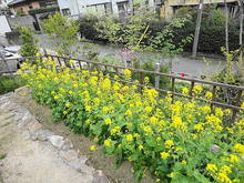 DSC06715.JPG