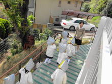 DSC06742.JPG
