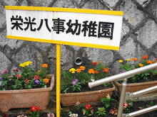 DSC01370.JPG