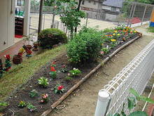 DSC01372.JPG