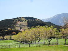 DSC06859.JPG