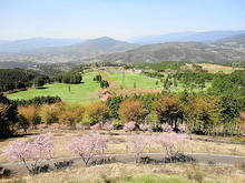 DSC06902.JPG