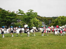 DSC07357.JPG