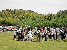 DSC07368.JPG