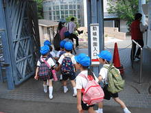 DSC01481.JPG