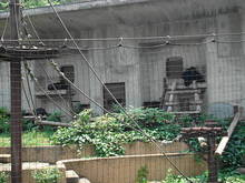 DSC01505.JPG