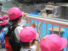 DSC01515.JPG