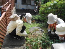 DSC01537.JPG
