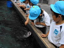 DSC03942.JPG