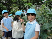 DSC07479.JPG