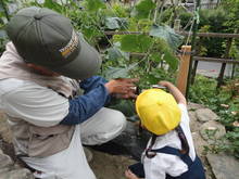 DSC07687.JPG