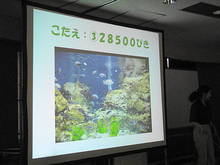 DSC07752.JPG
