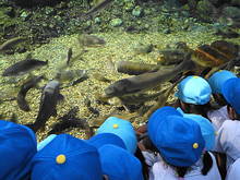 DSC07774.JPG