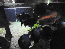 DSC07786.JPG