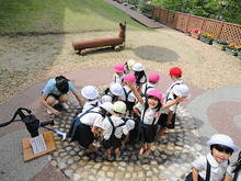 DSC07805.JPG