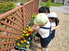 DSC07807.JPG