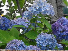 DSC07824.JPG
