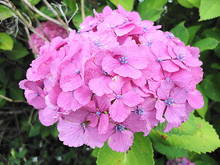 DSC07828.JPG