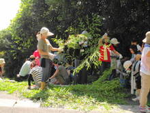 DSC07906.JPG