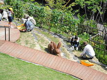 DSC08055.JPG