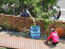 DSC08057.JPG