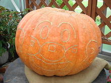 DSC01576.JPG