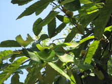 DSC08160.JPG