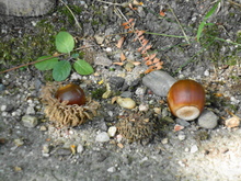 DSC08162.JPG