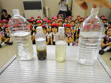 DSC08193.JPG