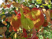 DSC01765.JPG