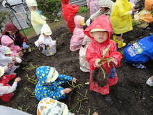 DSC08632.JPG
