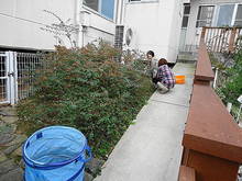 DSC08744.JPG