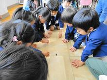 DSC09254.JPG
