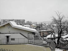 DSC09274.JPG