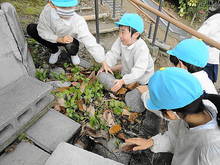 DSC09768.JPG