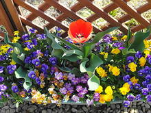 DSC00231.JPG