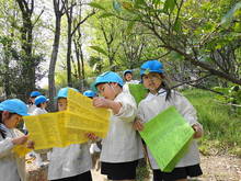 DSC00349.JPG